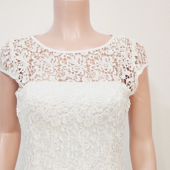 Adrianna PAPELLWhite Cap-Sleeve Illusion Lace Sheath Size 8 - Picture 3 of 16